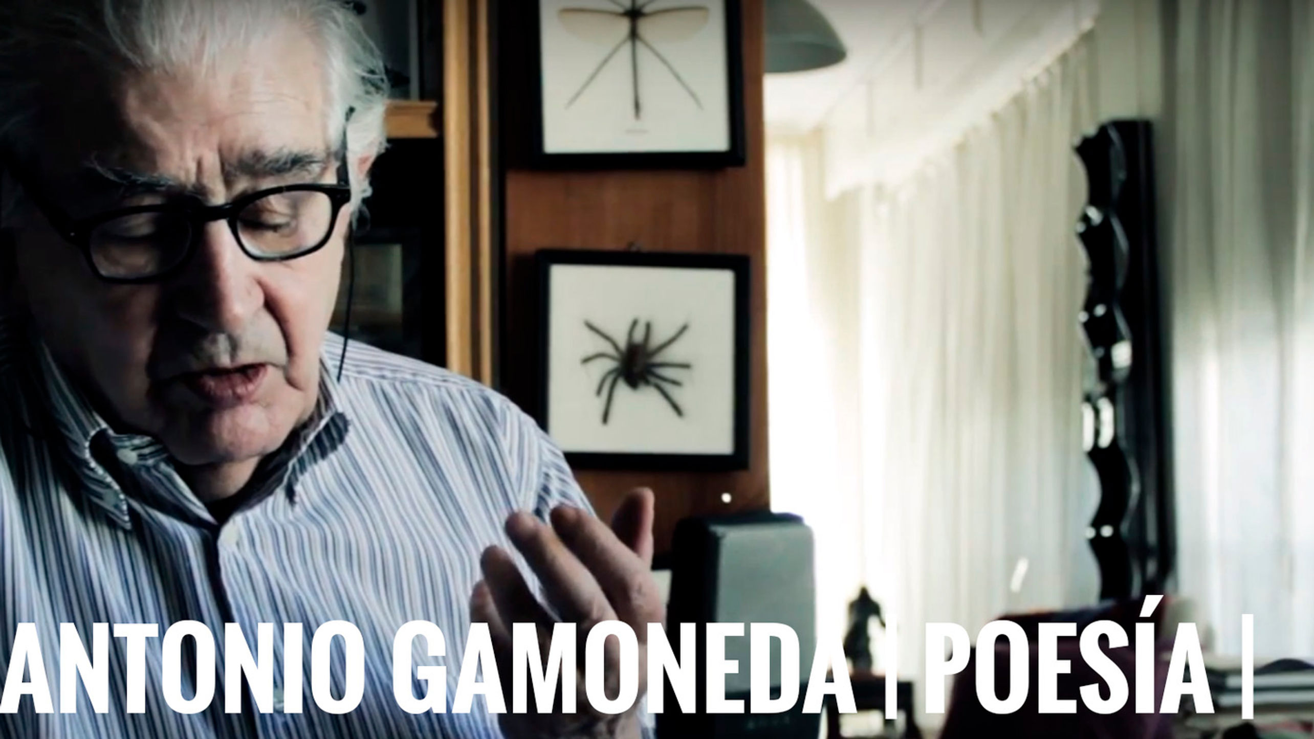ANTONIO GAMONEDA